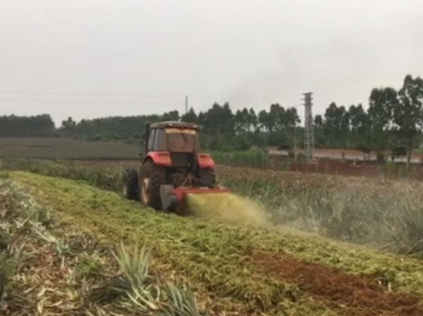 熱帶地區(qū)菠蘿葉粉碎還田機(jī)